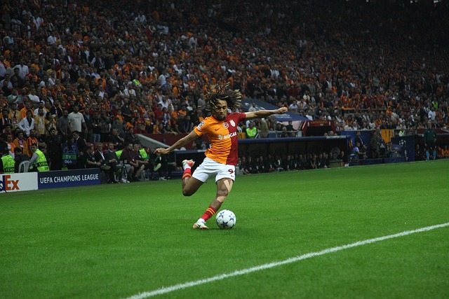 与经验丰富 与经验丰富